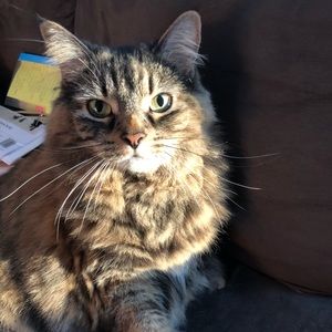 Meet your Posher, Jack